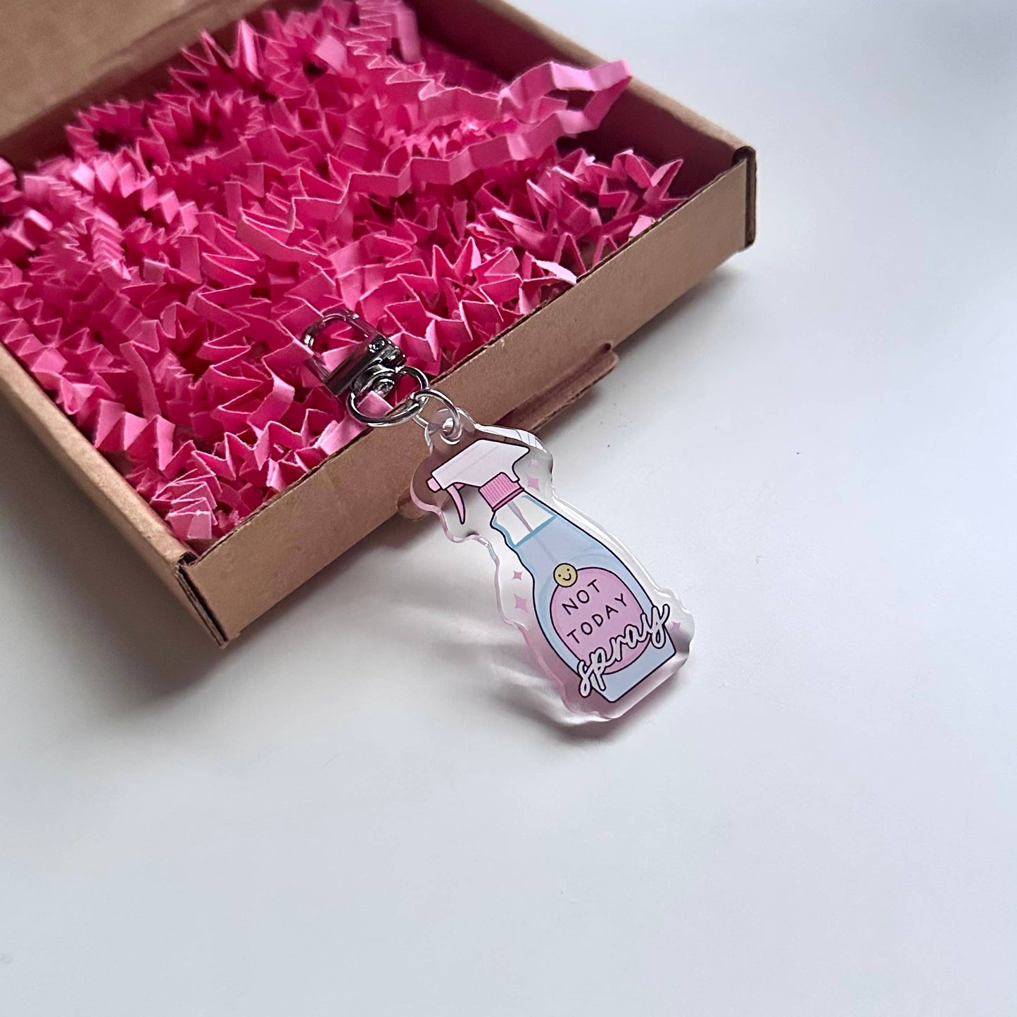 Not Today Spray | Keyring Funny Reader Gift