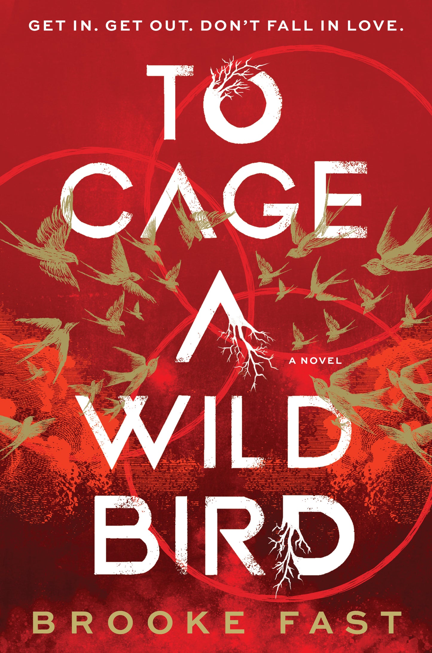 To Cage a Wild Bird; Brooke Fast | Hardcover Edition (Divided Fates Book 1)