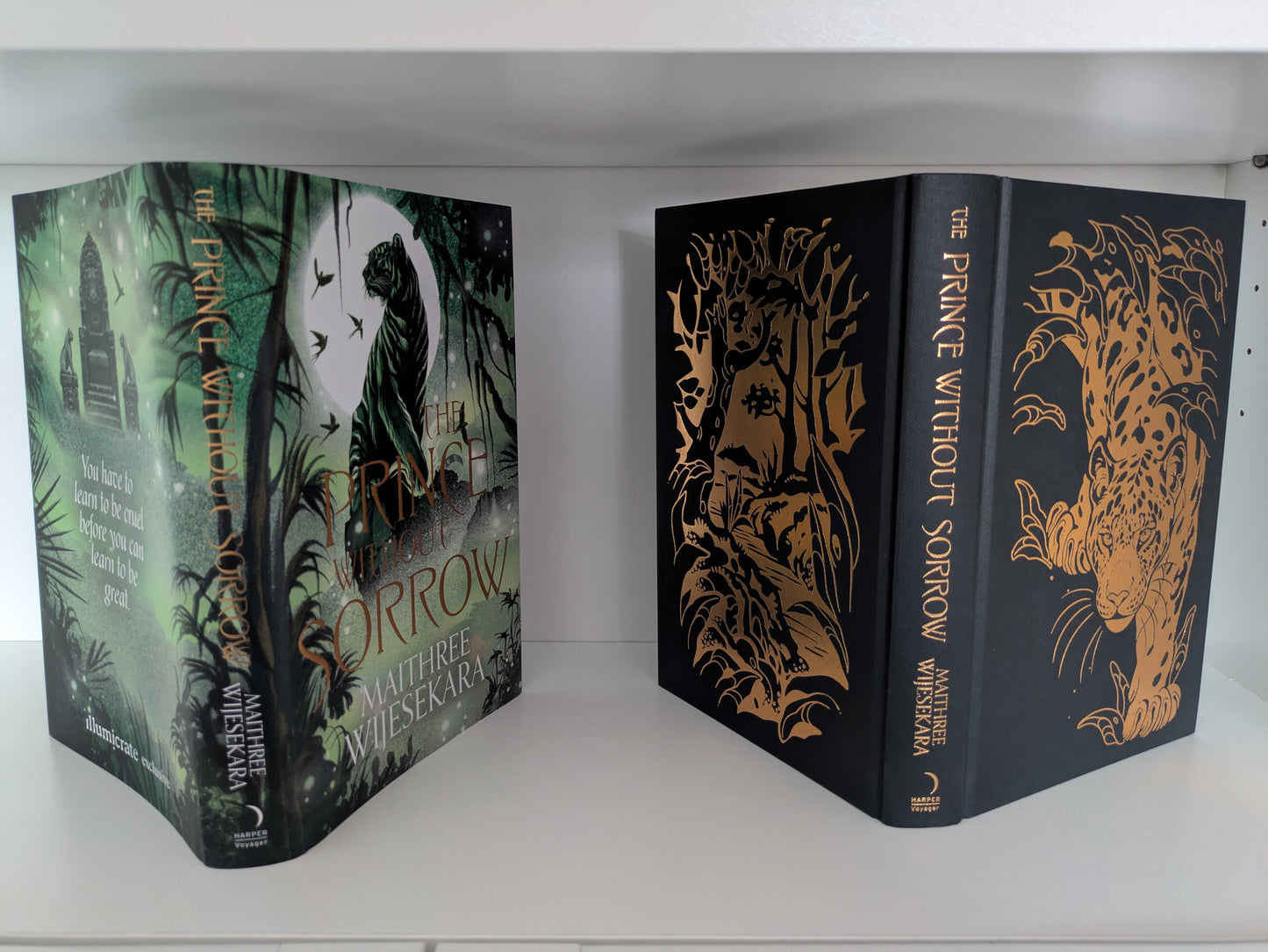 The Prince Without Sorrow; Maithree Wijesekara (Fairyloot special edition)