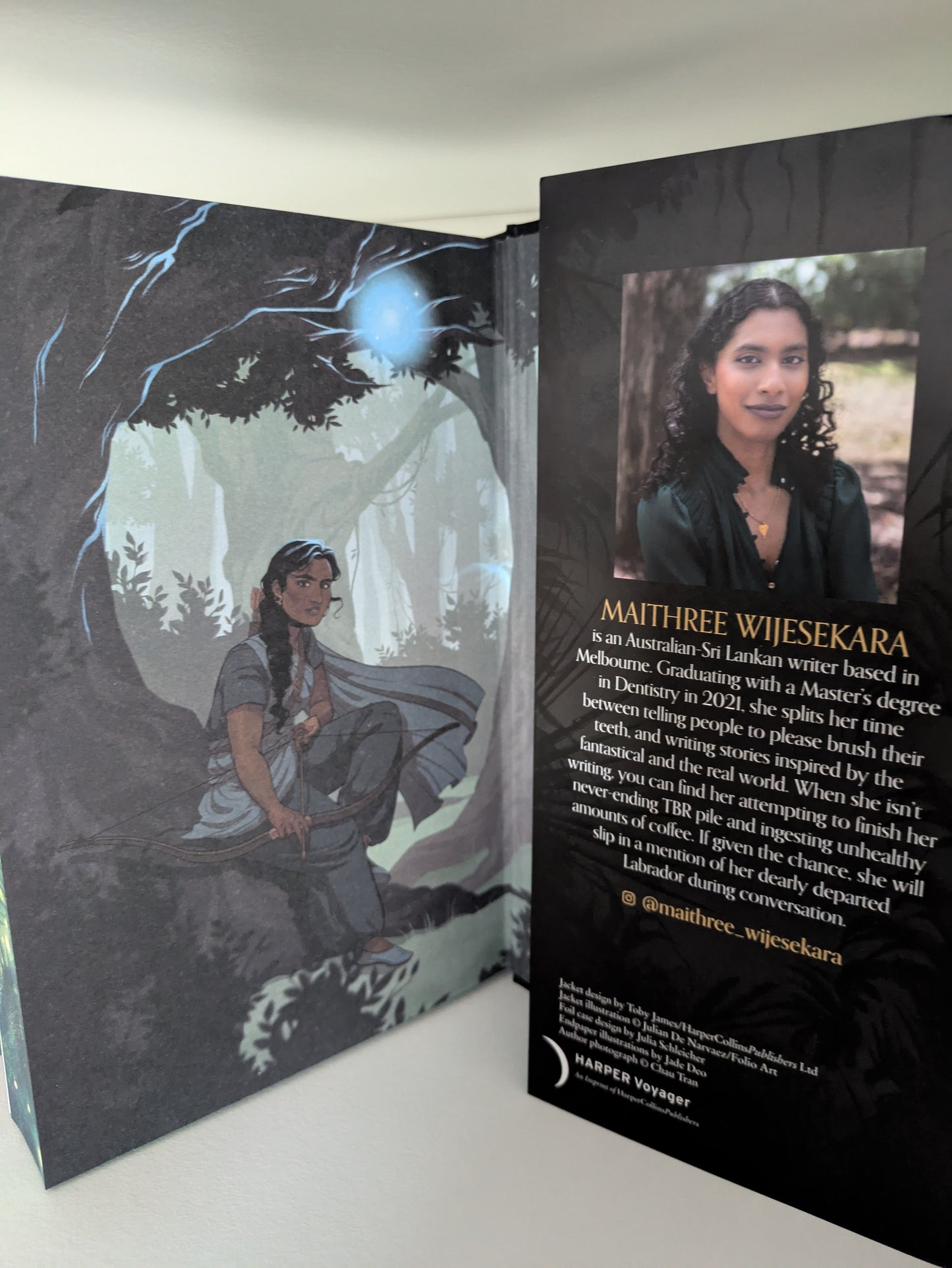 The Prince Without Sorrow; Maithree Wijesekara (Fairyloot special edition)