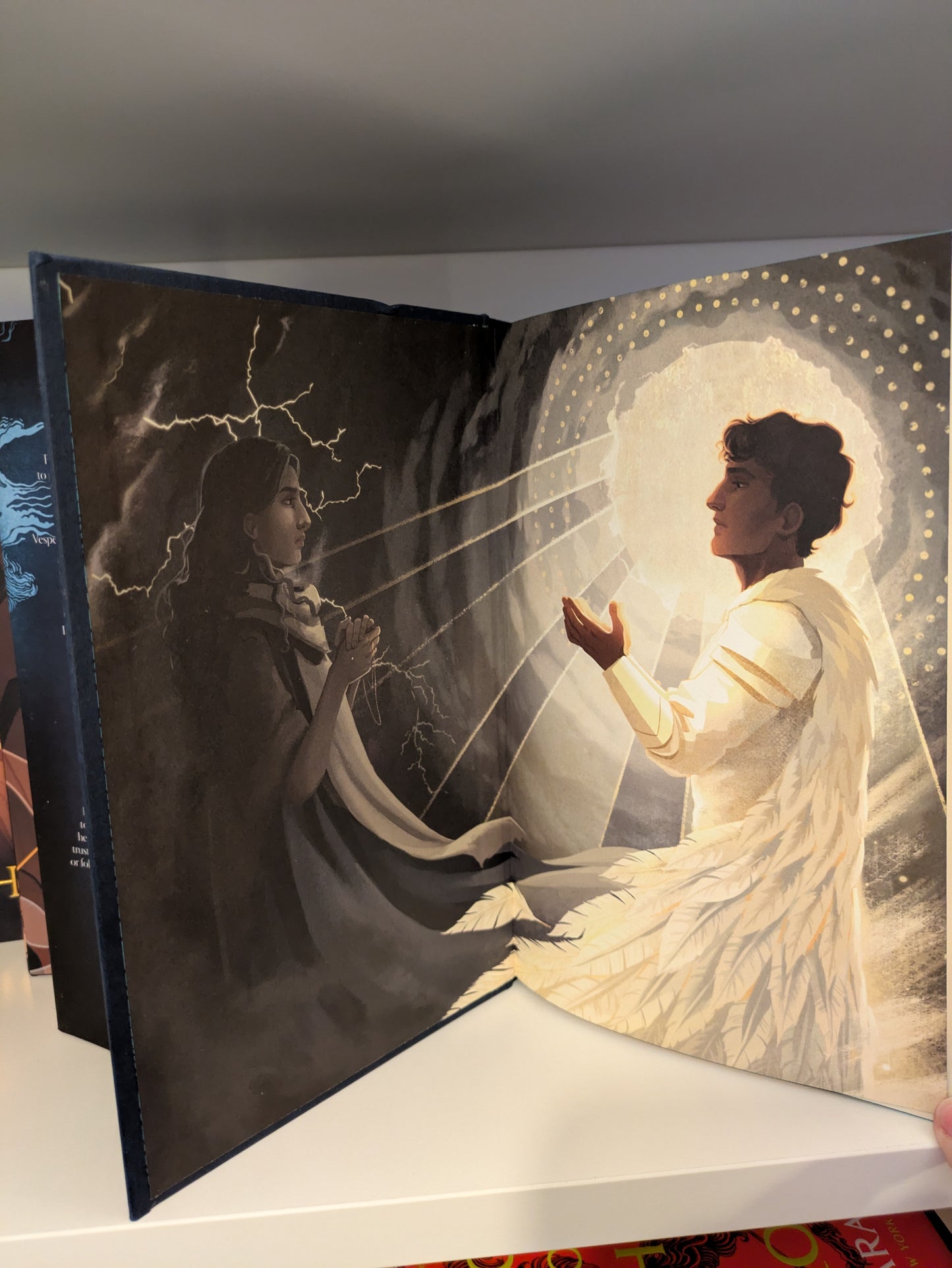 The Darkening; Sunya Mara (Fairyloot special edition)
